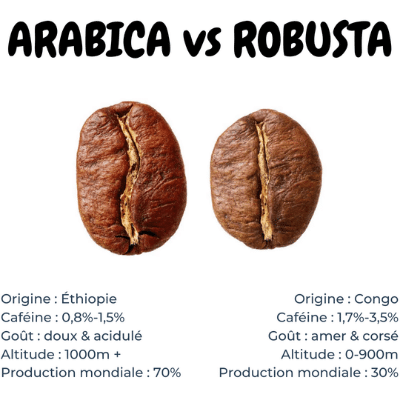 différence entre café arabica et café robusta