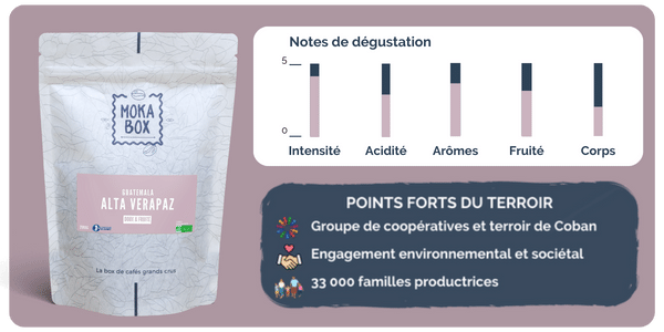 notes de degustaion cafe mokabox guatemala coban