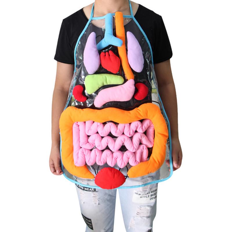 human body apron