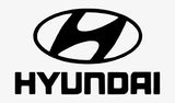 Hyundai painted side view mirrors