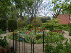 Bridgeport Home Gardens Tulips Bushes Fence Gate Red White Trees Walkway