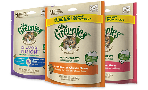 greenies dental treats coles