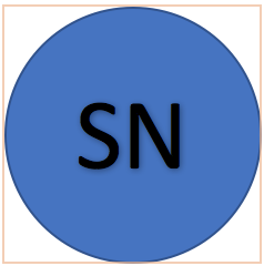 Sample NP logo