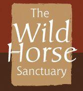 Wild Horse Sanctuary logo
