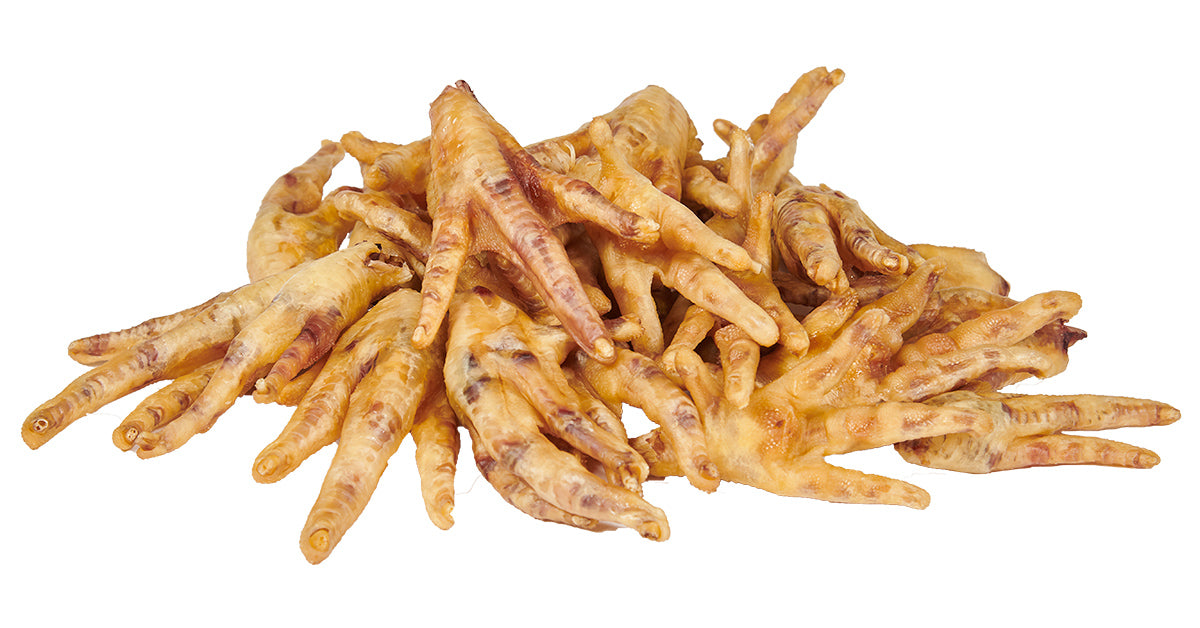 Can Dogs Eat Chicken Feet? | Health 