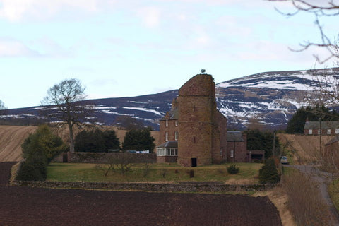 The remains of Balfour Castle incorporated with the Farm House