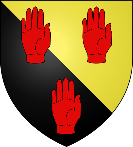 ADAIR of Kinhilt Per bend, Or and Sable, three dexter hands, appaumé, couped and erect, Gules.