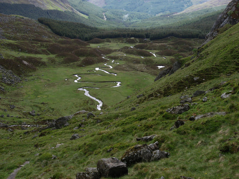 Corrie Fee