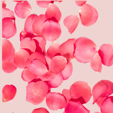 Rose-Oil-In-skincare