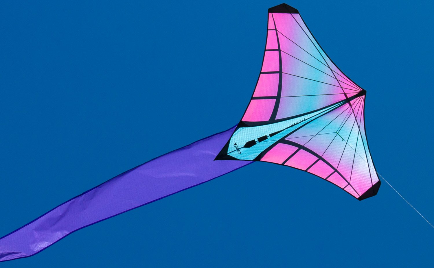 Mantis Kite Geometry Kids