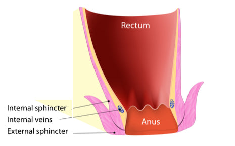 https://cdn.shopify.com/s/files/1/2330/6113/files/Why_Anal_Sex_Can_Hurt.jpg?20364