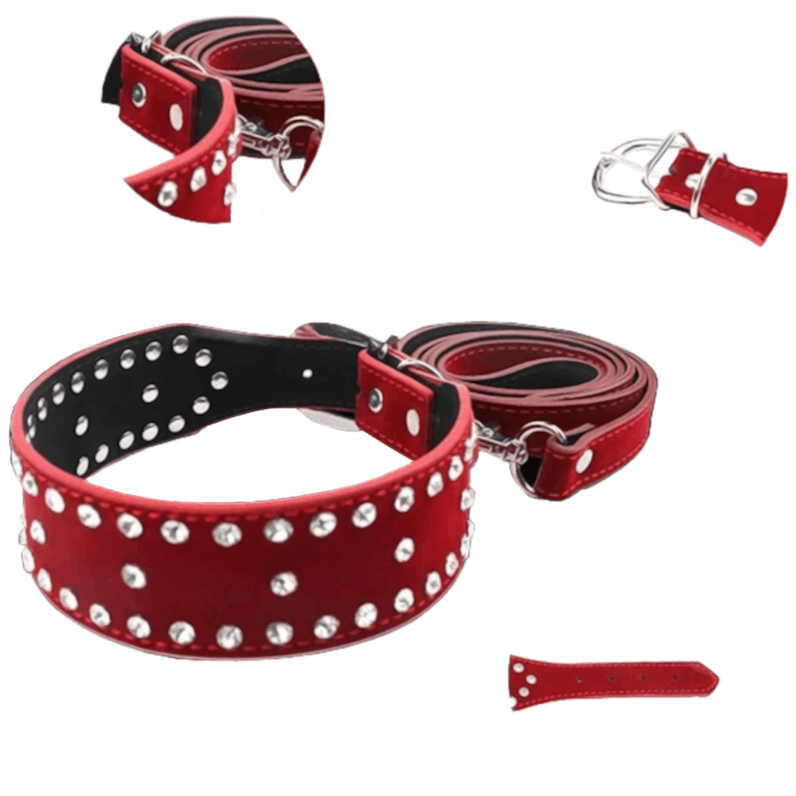 Naughty Pup's Collar With Leash
