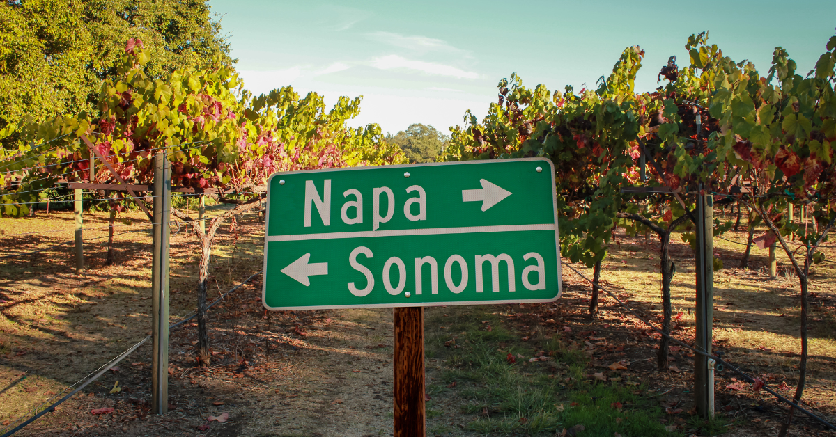 sonoma and napa vineyards