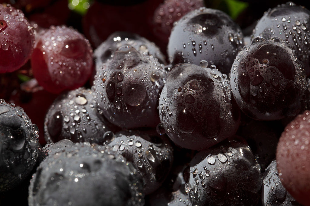 grapes close up