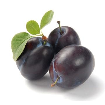prune plum download