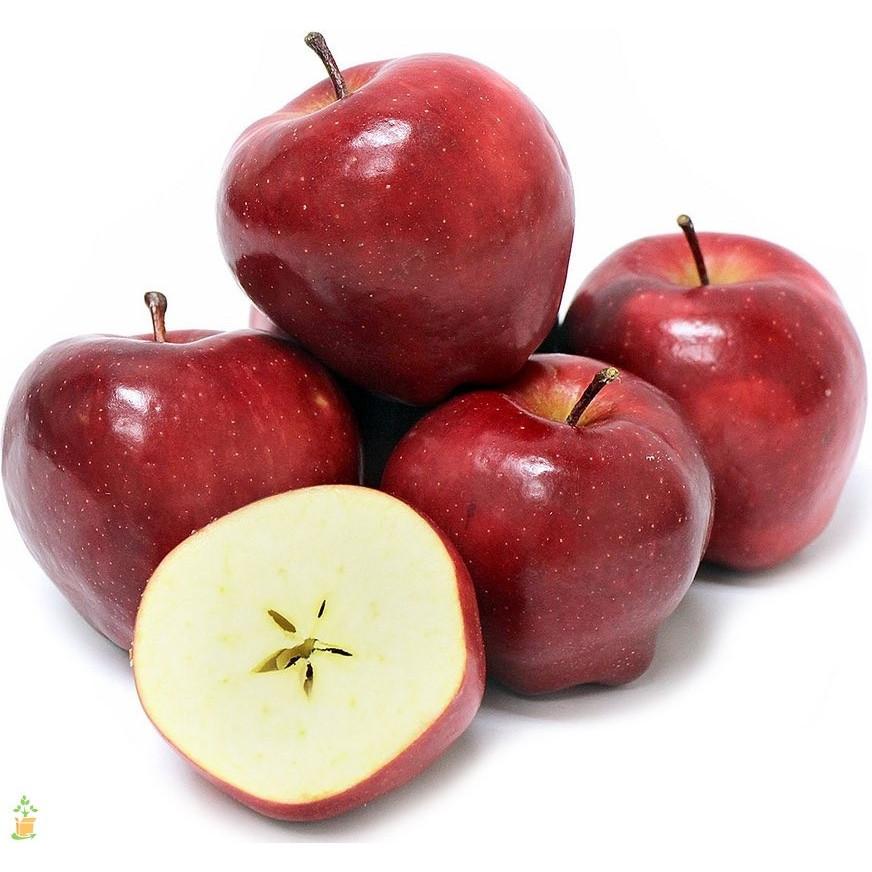 Red Delicious Apples 1st Choice Fruit & Veg