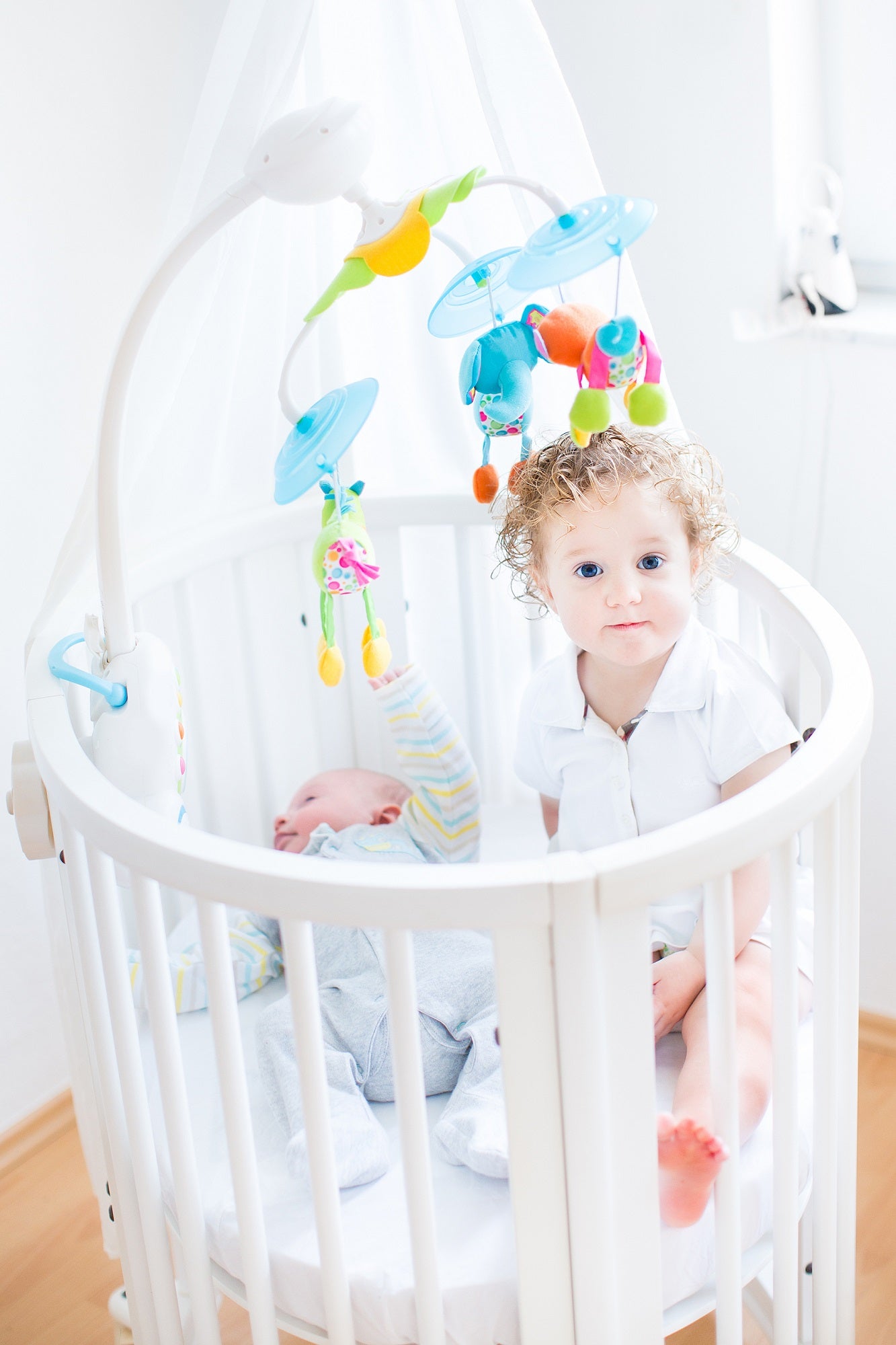 cubby convertible round crib