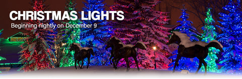 Spruce Meadows Christmas Lights 2019