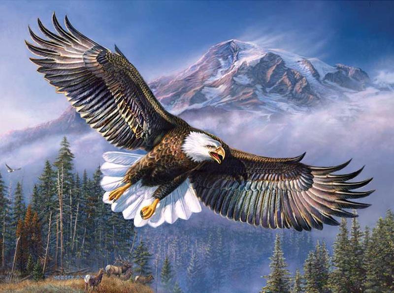 16x12-inches-bald-eagle-flying-square-diamond-painting-2106795851830.jpg?v=1567155388