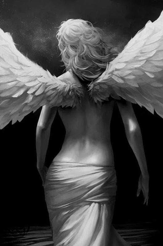 Image result for sexy angel