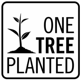 one tree planted