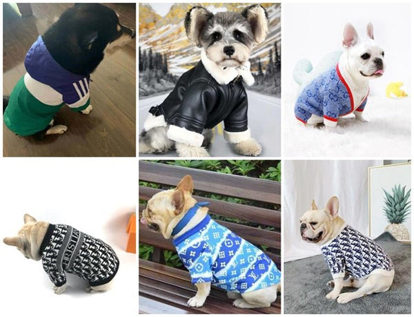 Designer and Streetwear Dog Clothing