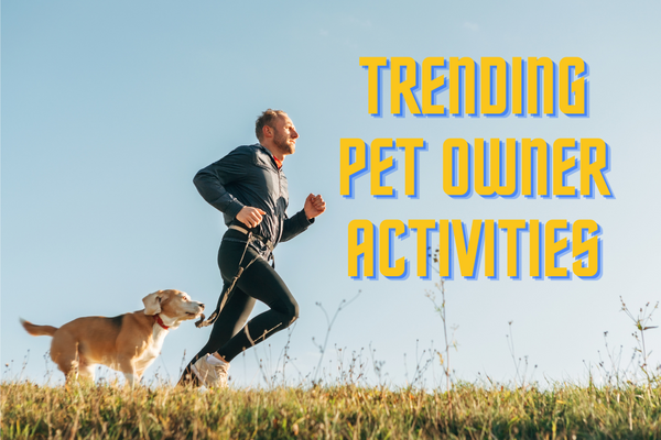 Trending Pet Owner Activities