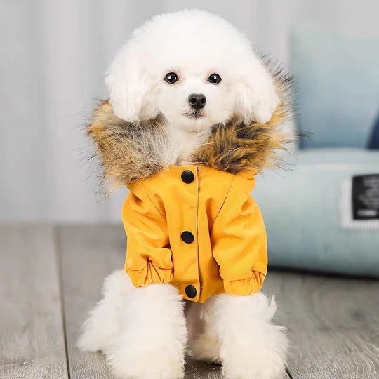 Canada Pup Parka