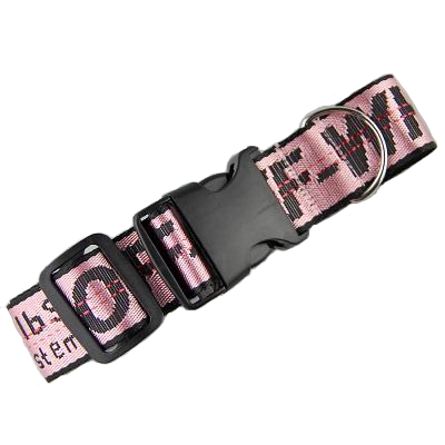 woof dog collar