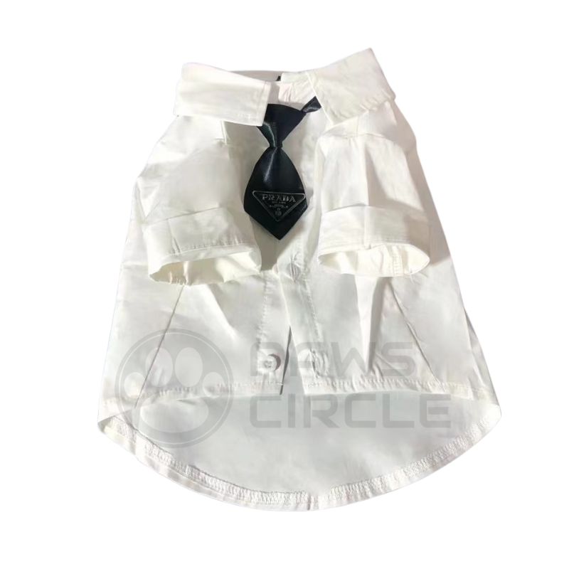 Pawda Shirt & Tie | Paws Circle | Luxury Branded Dog Clothing