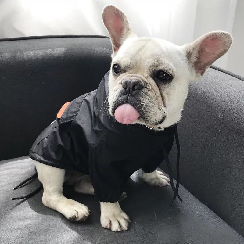 stussy dog hoodie