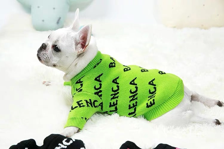 balenciaga dog sweater