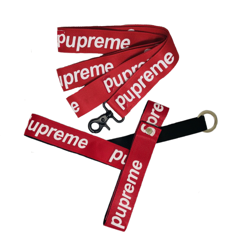 Pupreme Leash | atelier-yuwa.ciao.jp