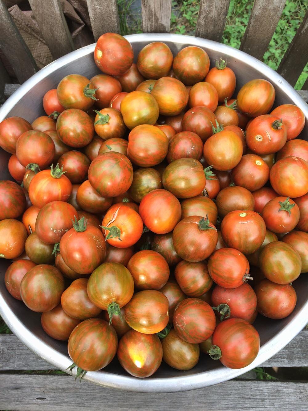 black vernissage tomatoes