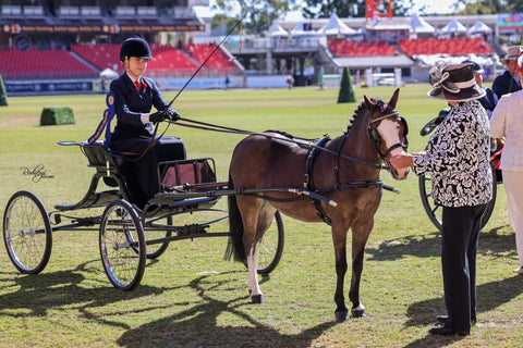 Isabel Duke BARE Ambassador Junior Carriage Driving