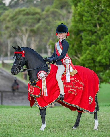 Molly Manchester BARE Ambassador show horse