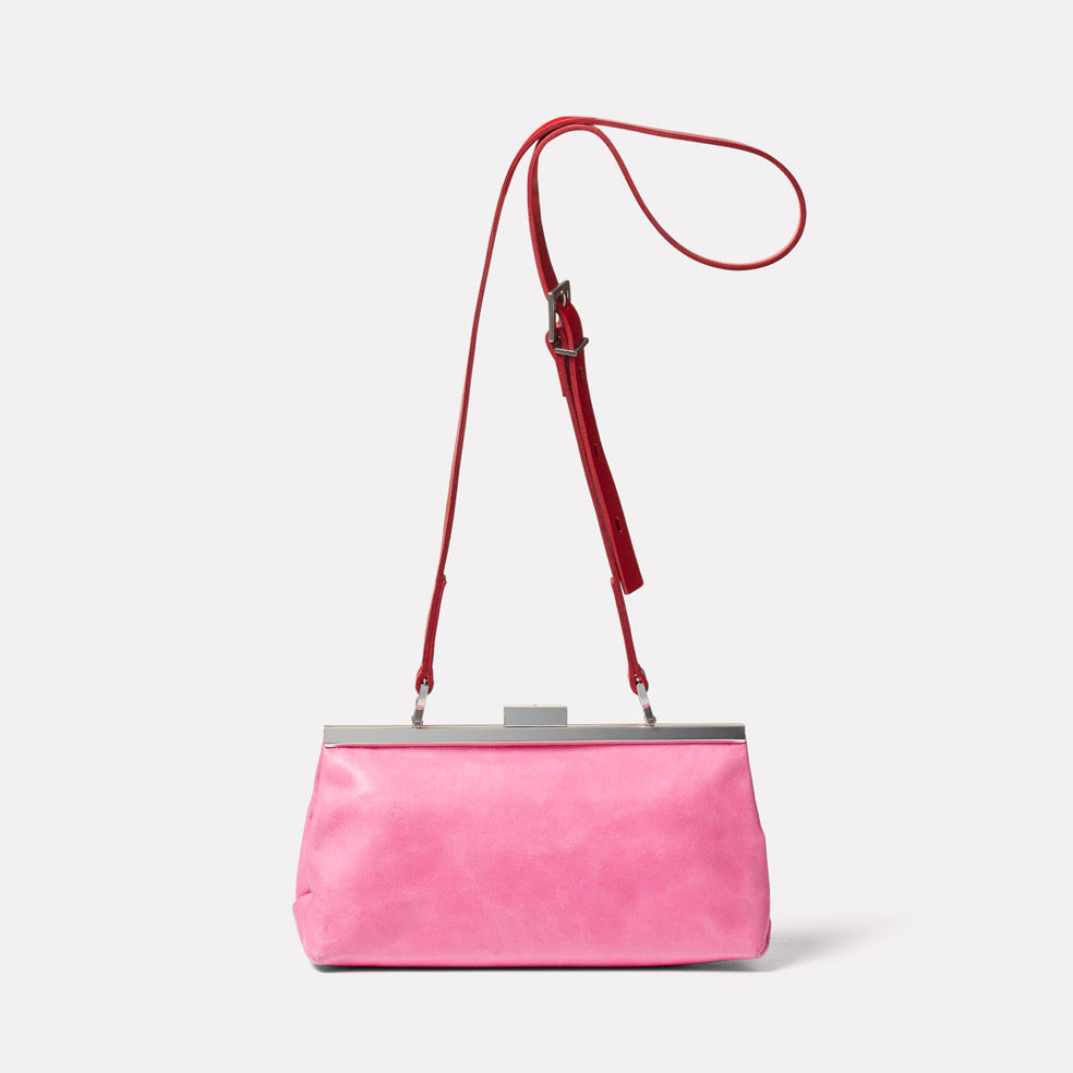 Roxie Leather Frame Crossbody Bag in Pink/Red |Ally Capellino