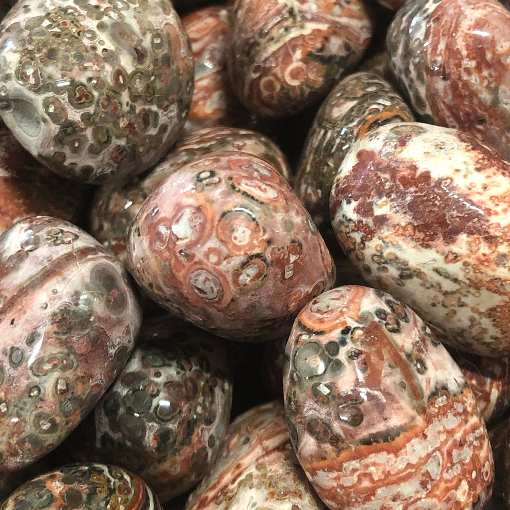 leopard skin jasper 2kinds