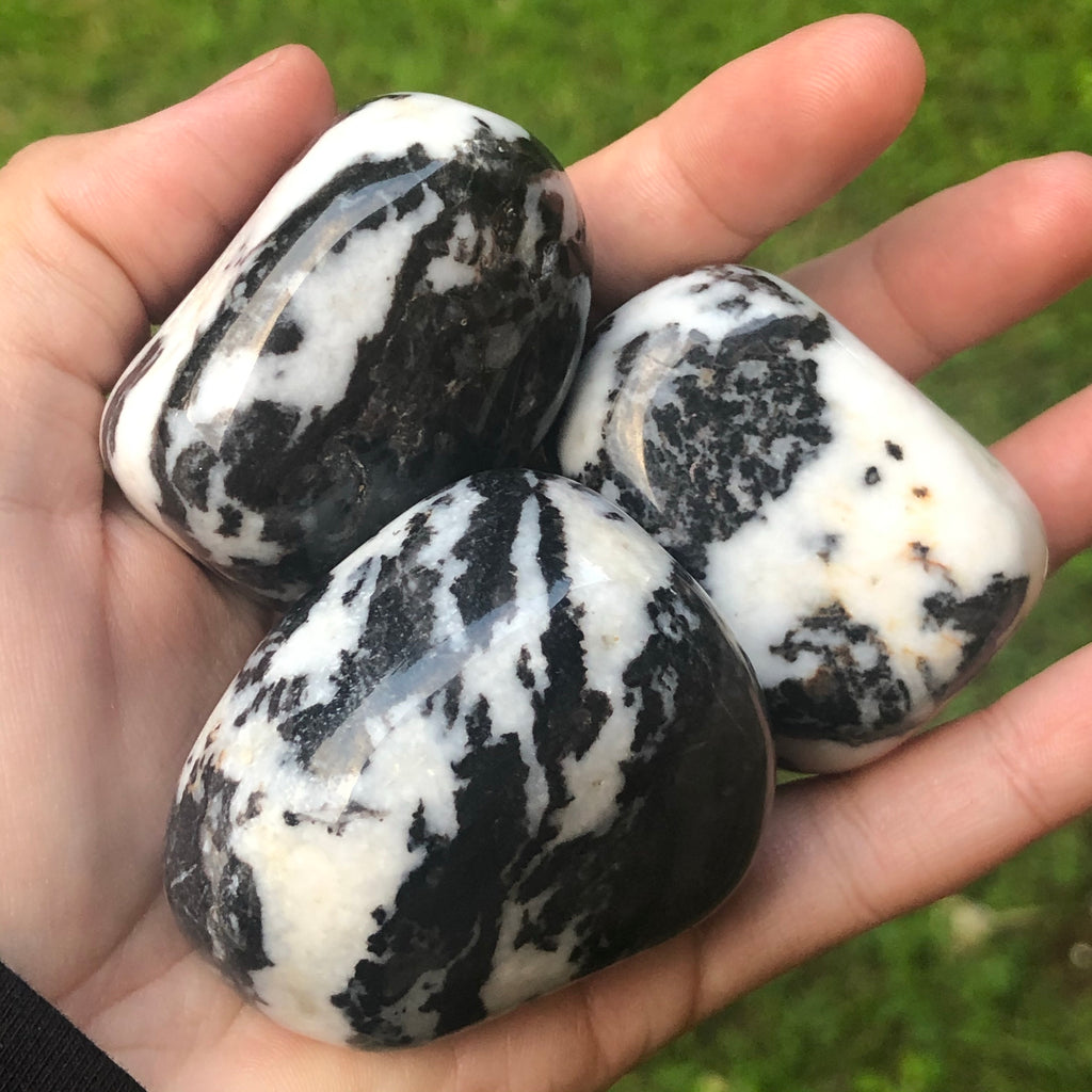 Zebra Jasper Polished Mega Tumblestone – Crystals and Pearls Australia