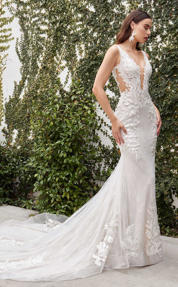 Wedding Dresses & Gowns