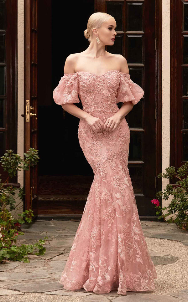 Off the Shoulder Dusty Rose Formal Dresses Plus Size Materity Evening Ball  Gowns – SheerGirl
