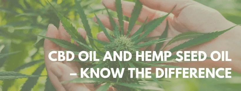 cbd and hemp oil