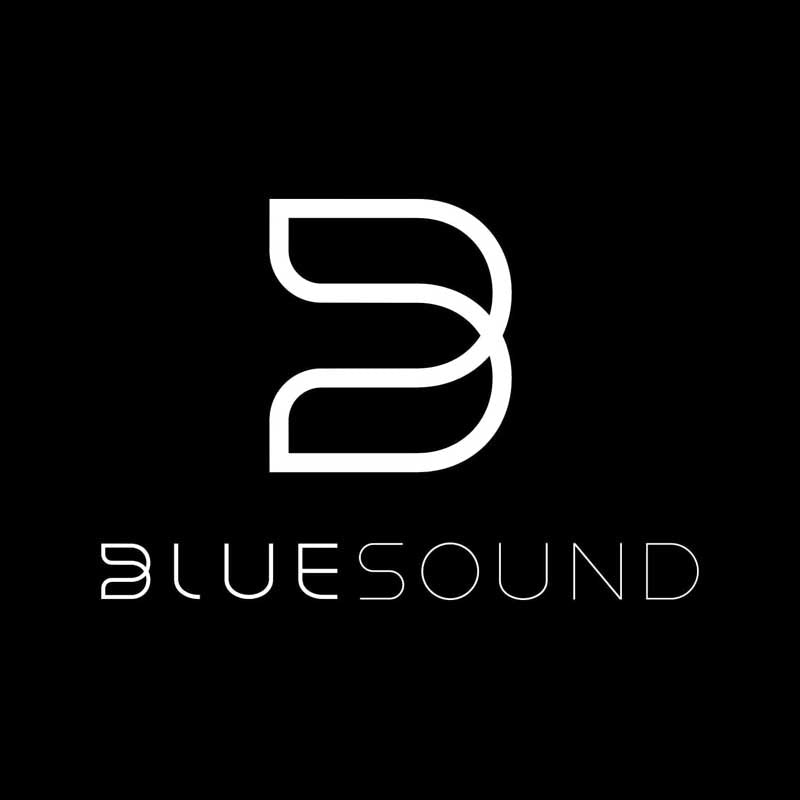 Logo Blue Sound