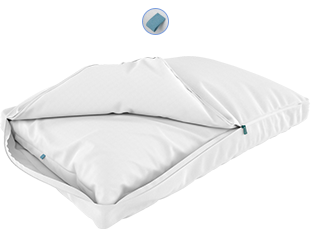 sleepgram pillow