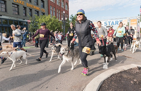 dog marathon, dog fun run, dog walk