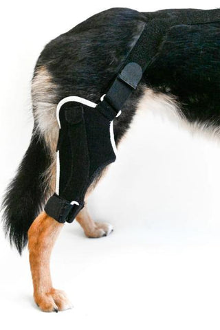 dog knee brace - soft knee brace for dog