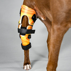 Bilateral Custom Dog Knee Braces | CCL/ACL Stifle Rear Leg Dog Braces ...