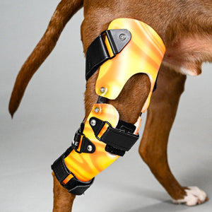 Custom Dog Knee Brace | CCL/ACL Stifle Rear Leg Dog Brace - Animal ...