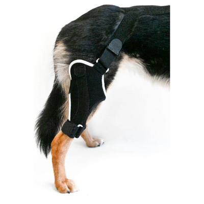 EMbrace Orthopedic Supports - Animal Ortho Care