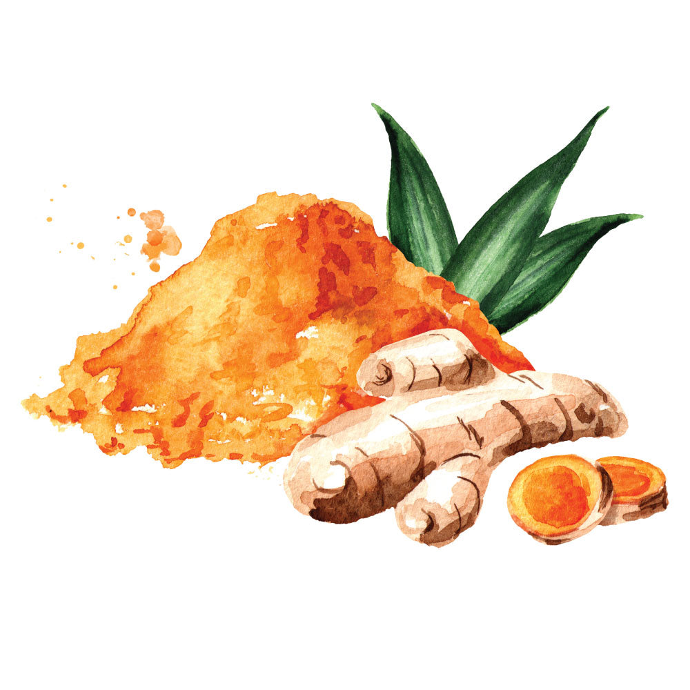 Joint-Flex_Tumeric.jpg